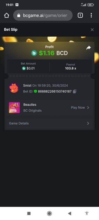 Screenshot_2024-06-30-19-01-01-622_com.android.chrome.jpg